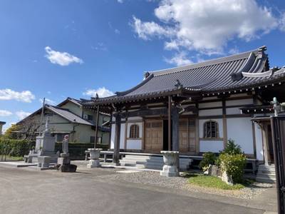 成道寺,見どころ,メタモン