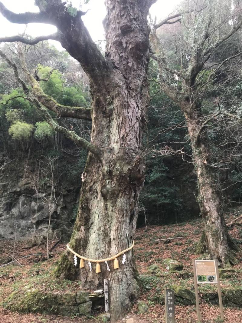 健男霜凝日子神社
