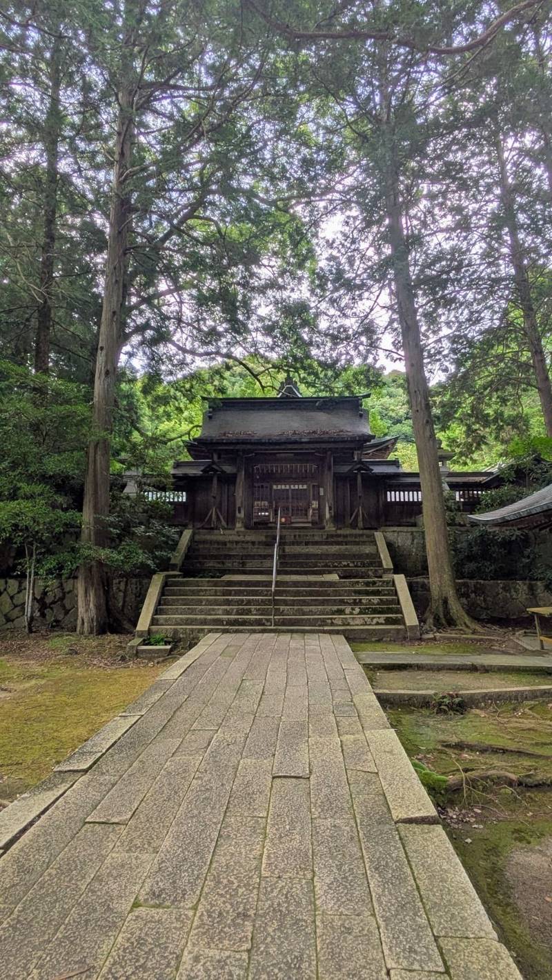 野田神社,山口県山口市天花1丁目1-2