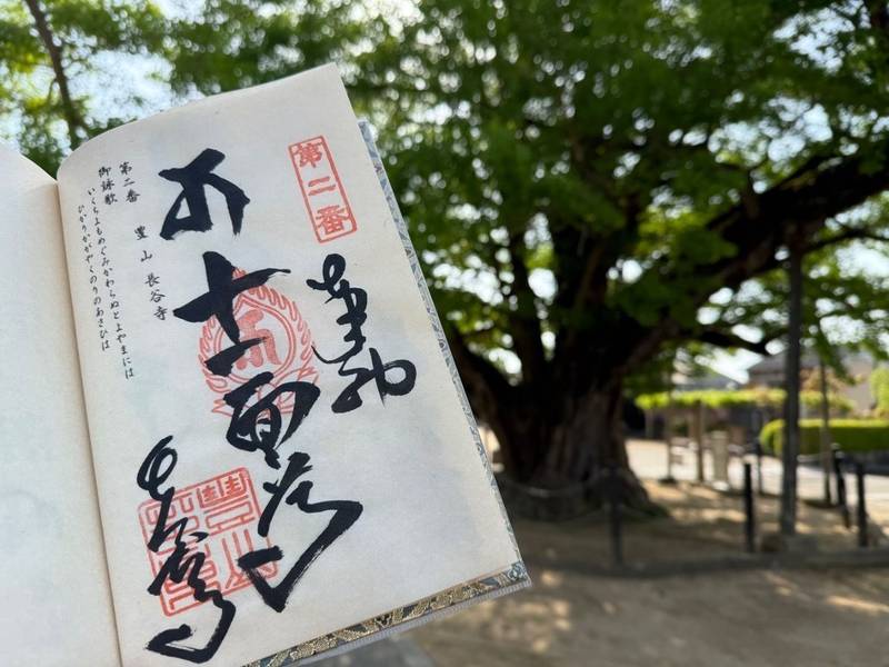 長谷寺,徳島県鳴門市撫養町木津1037-1