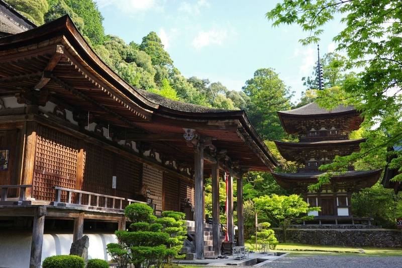 西明寺,滋賀県犬上郡甲良町池寺26
