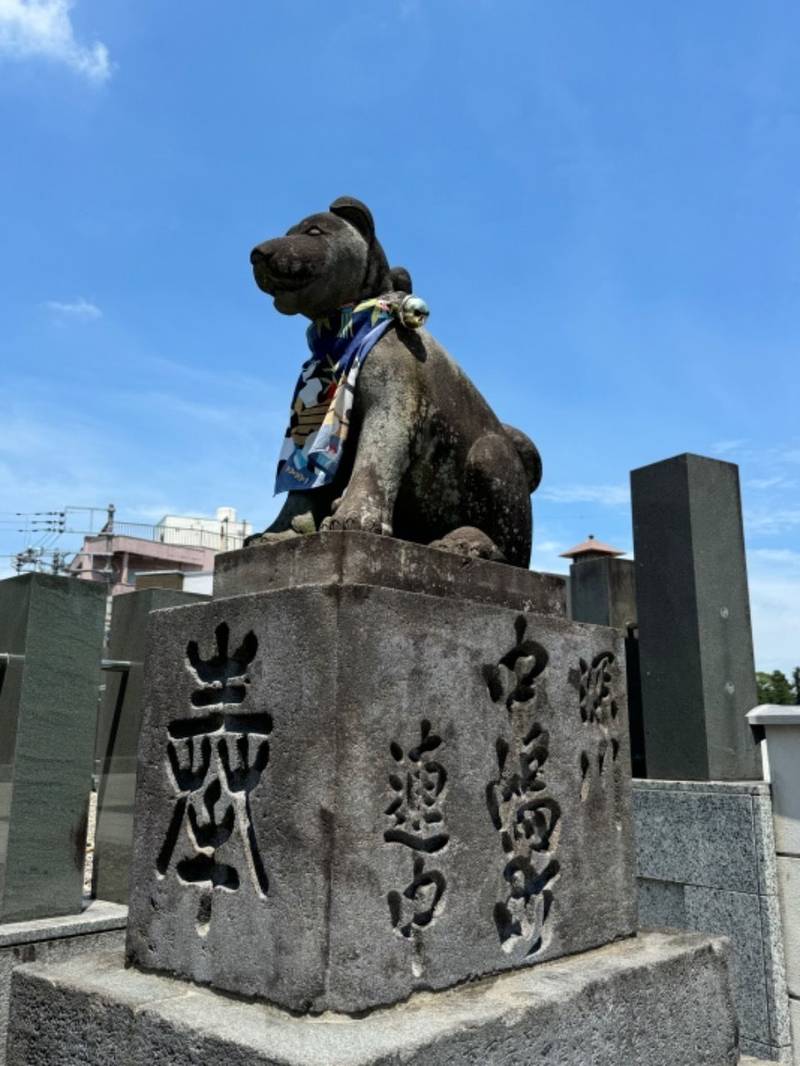 成田山薬師堂    (成田山旧本堂),千葉県成田市上町496-1