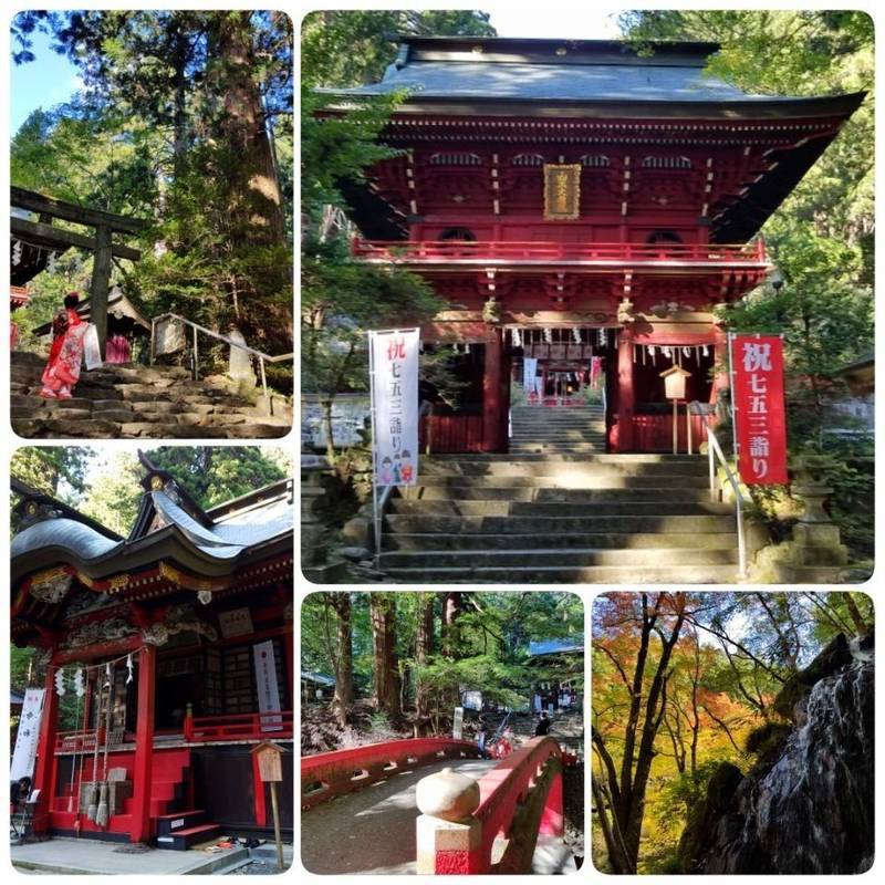 花園神社 北茨城市 茨城県 の見どころ 紅葉の見頃 By 福犬 Omairi おまいり 花園神社 北茨城市 茨城県 の見どころ 紅葉の見頃 By 福犬 Omairi おまいり