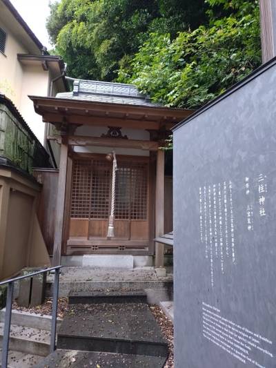 三柱神社,見どころ,クリームもみじ