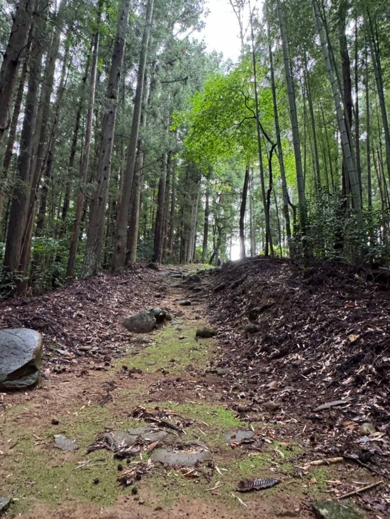 愛宕神社  (朴沢後向),宮城県仙台市泉区朴沢後向
