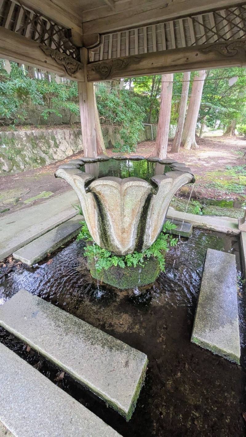 野田神社,山口県山口市天花1丁目1-2