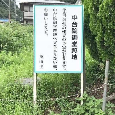 中台院,見どころ,Y.Shiraga