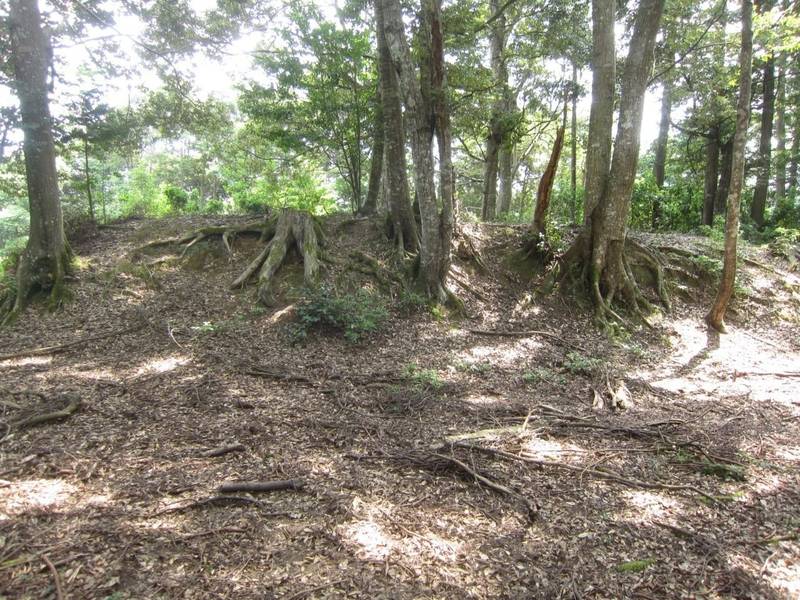 八幡山城址  (高津城),京都府綾部市高津町 宮ノ段