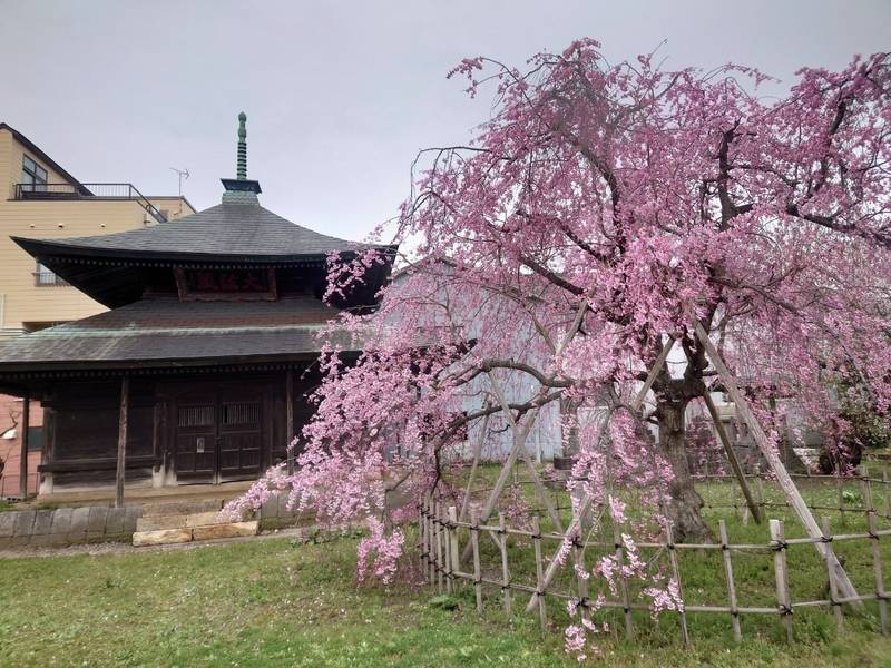 宝光寺,新潟県新発田市諏訪町2-4-17