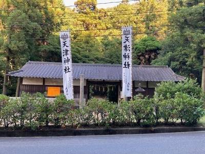天津神社 (粒江),見どころ,nora-neko