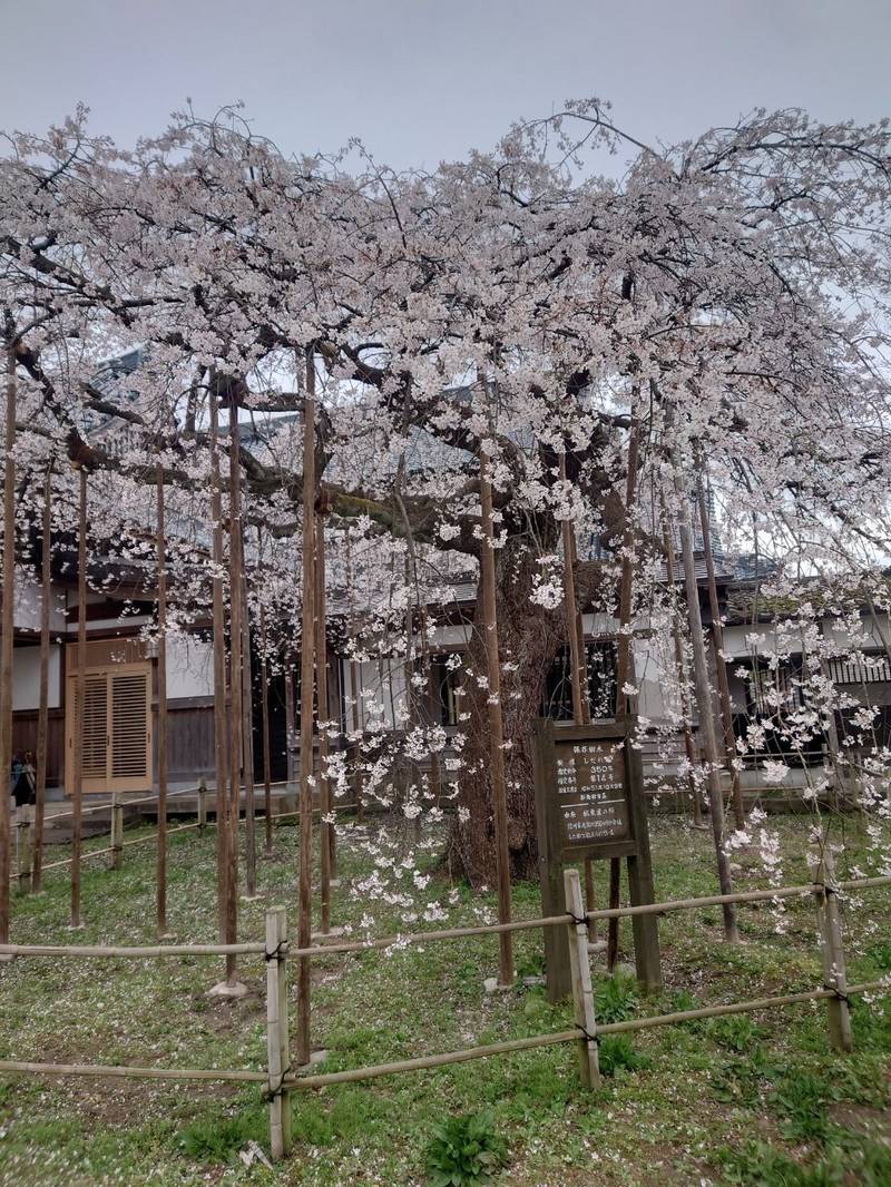 宝光寺,新潟県新発田市諏訪町2-4-17