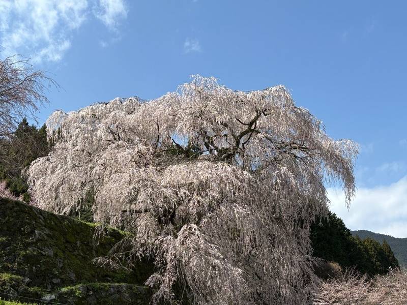 阿紀神社,奈良県宇陀市大宇陀迫間252