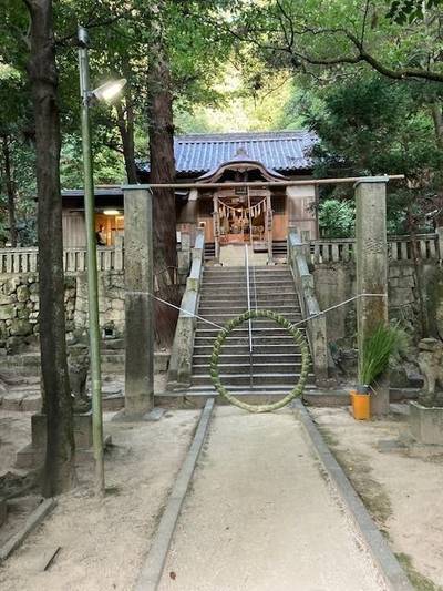 天津神社 (粒江),見どころ,nora-neko