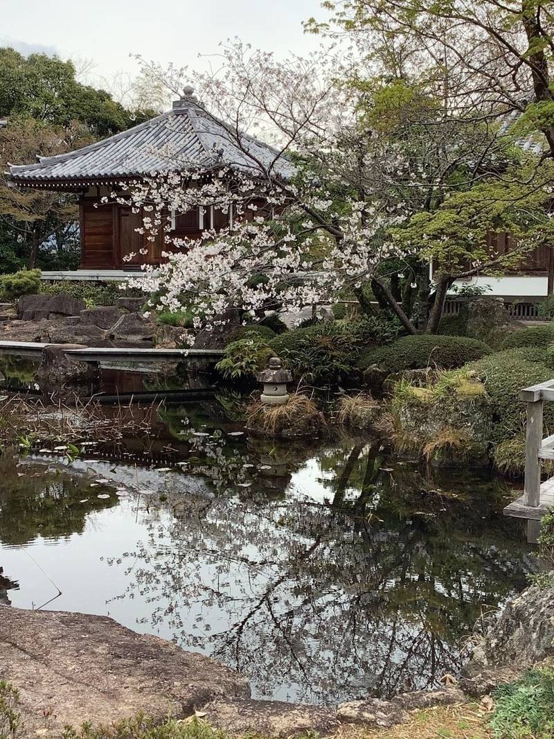 高山寺,和歌山県田辺市稲成町392
