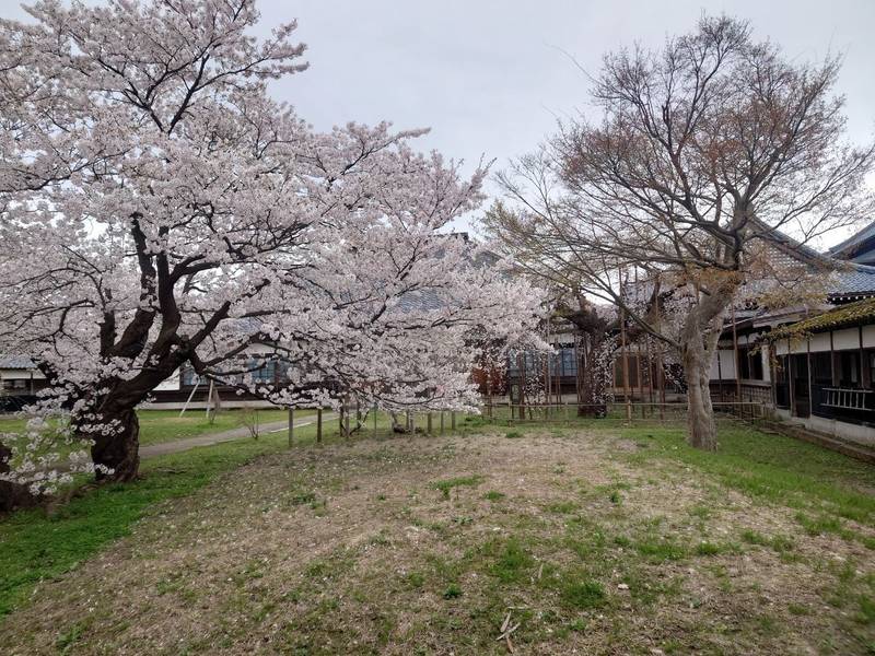 宝光寺,新潟県新発田市諏訪町2-4-17
