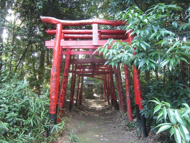 知乃神社,兵庫県丹波市市島町南592