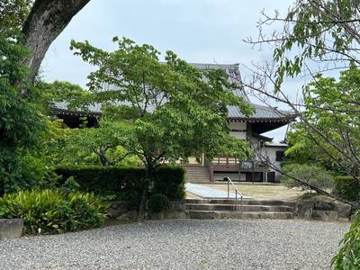 長興寺,見どころ,メギピッピ