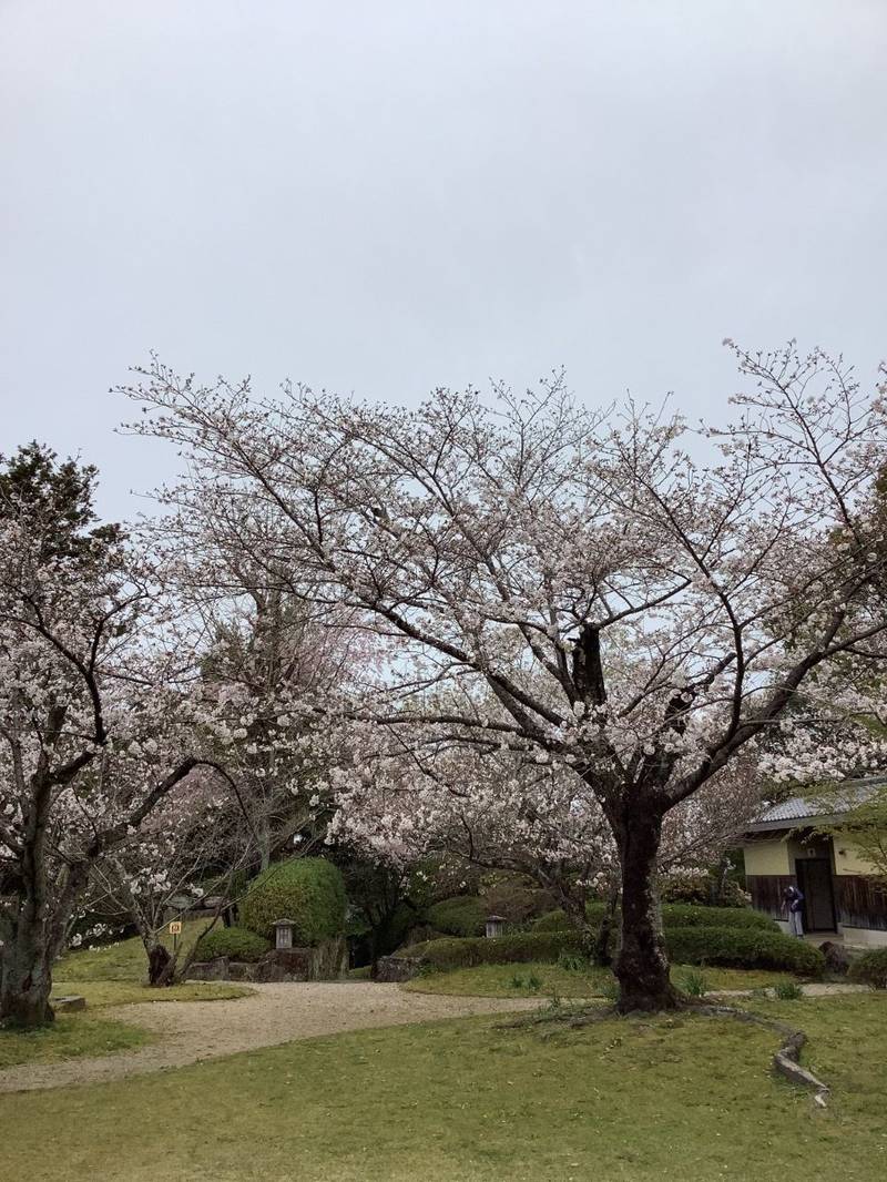 高山寺,和歌山県田辺市稲成町392