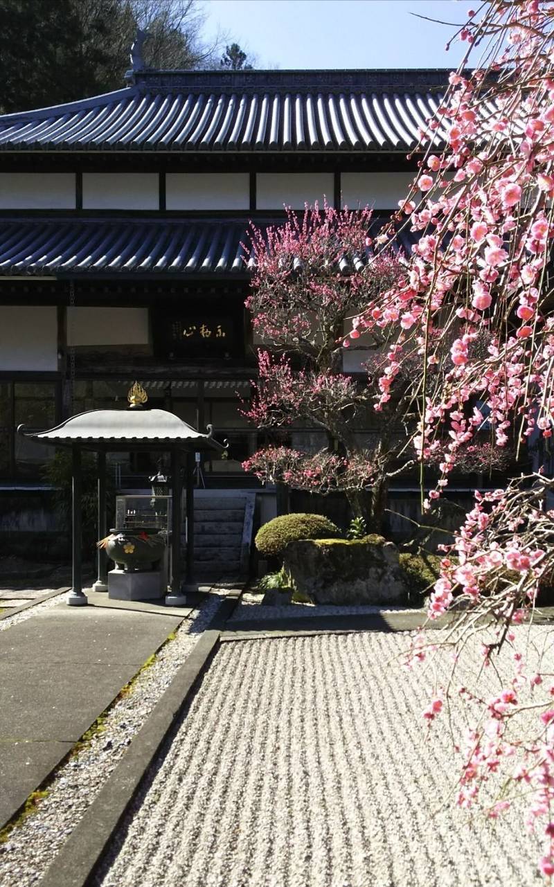 東福寺 美馬郡つるぎ町 徳島県 Omairi おまいり