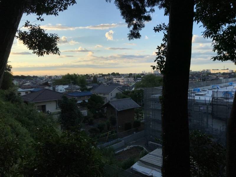 熊野神社,東京都東大和市蔵敷1-419