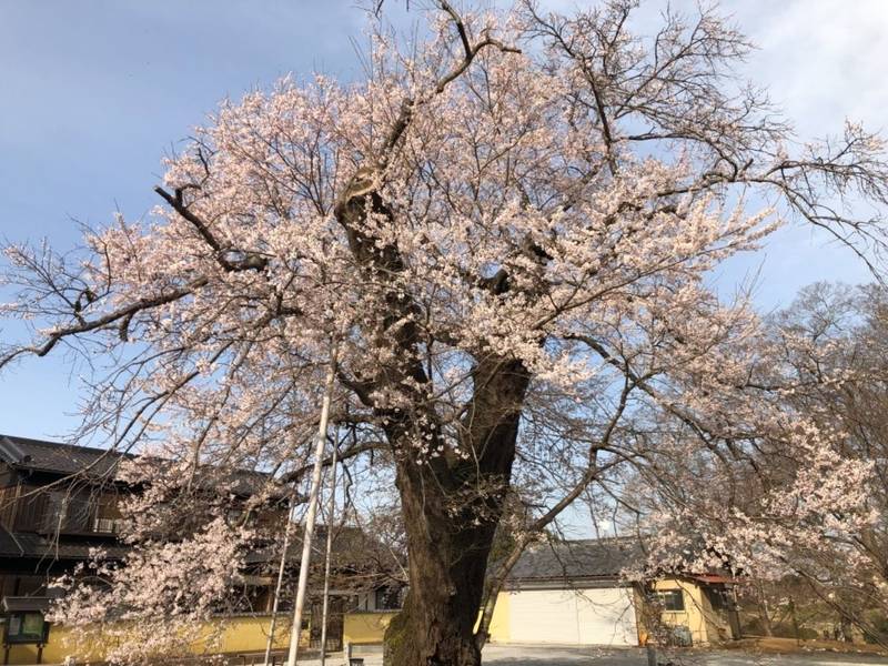 歓喜寺,茨城県坂東市辺田９７８