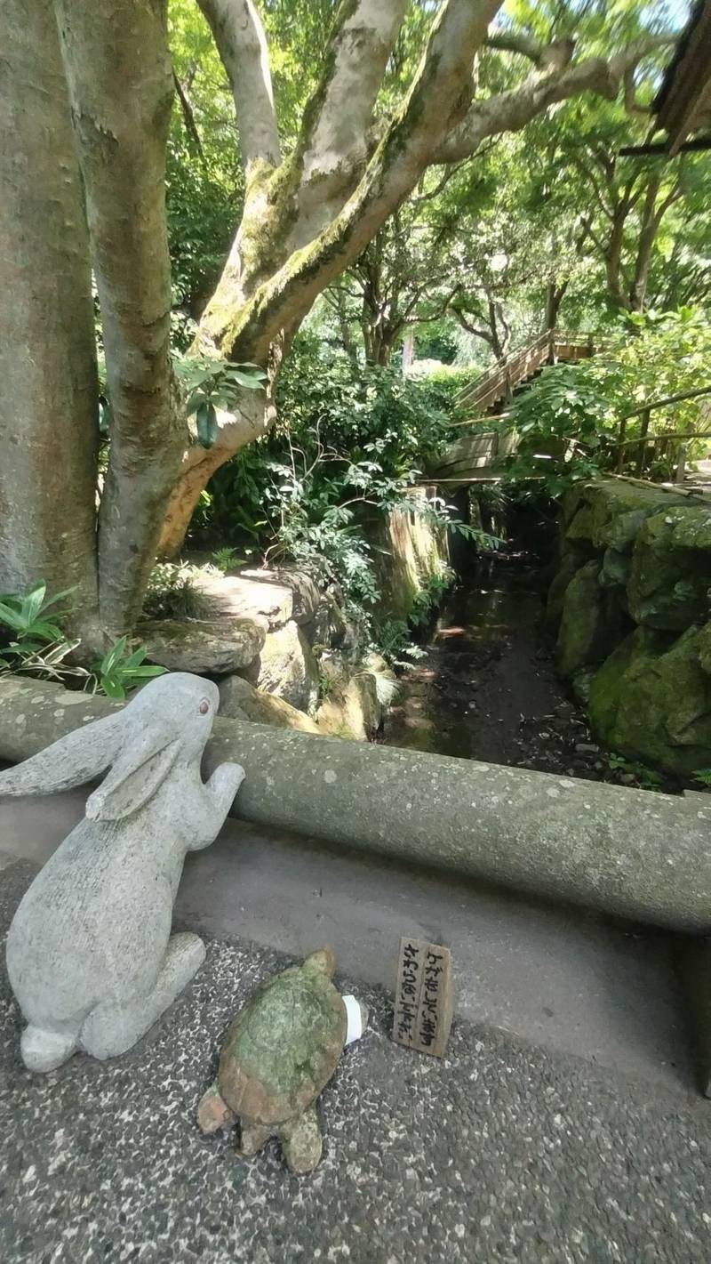 明月院  (あじさい寺),神奈川県鎌倉市山ノ内189