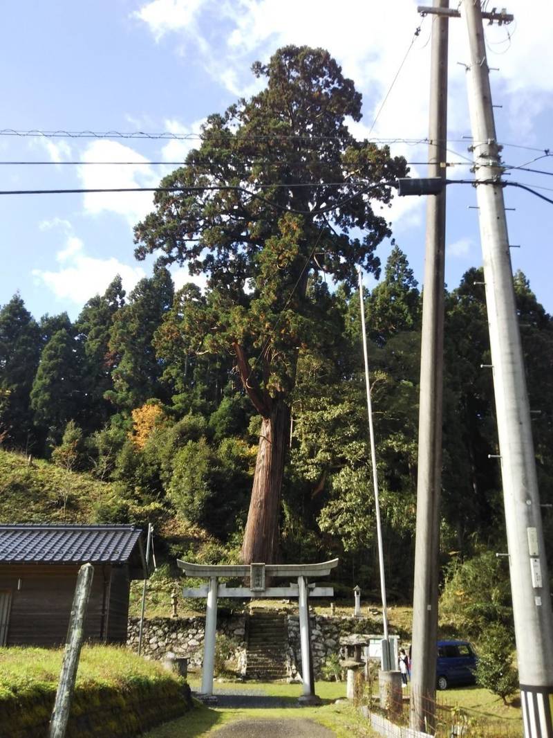 西谷神社,鳥取県八頭郡八頭町西谷