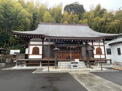 照光山 青蓮寺,見どころ,you