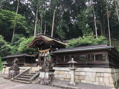 雄琴神社,見どころ,龍のすけ