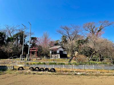 四所神社,見どころ,を神