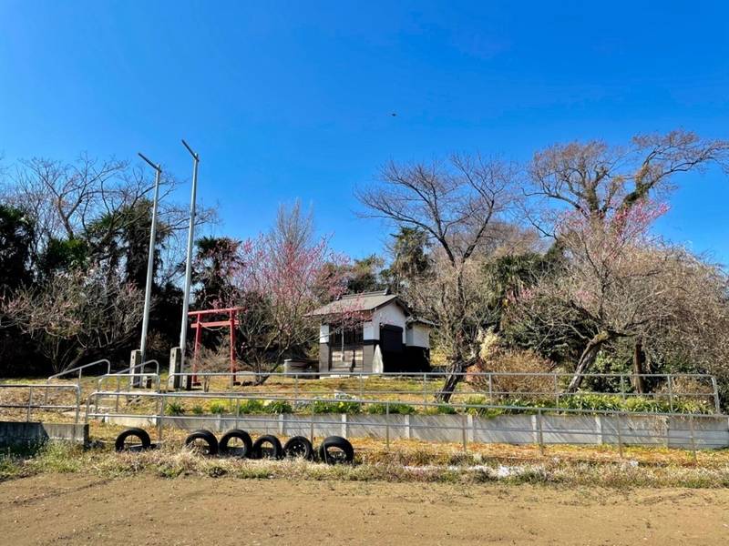 四所神社,埼玉県さいたま市岩槻区尾ケ崎１２６２−１