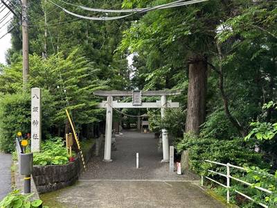 八坂神社,見どころ,を神