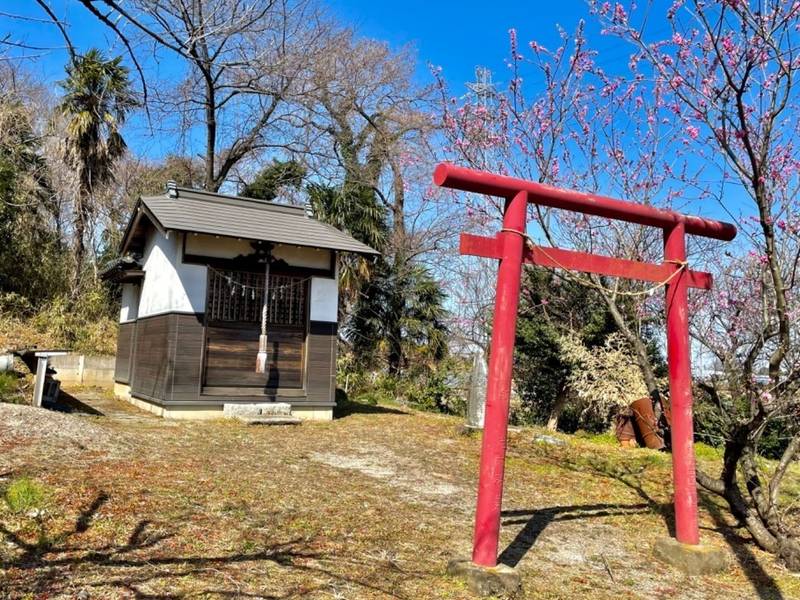 四所神社,埼玉県さいたま市岩槻区尾ケ崎１２６２−１