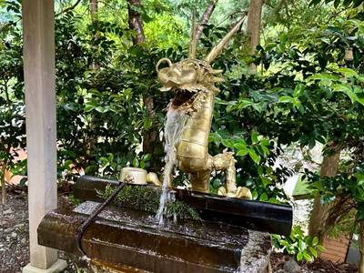 八坂神社,見どころ,を神