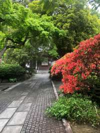 鎌倉市の御朱印・神社・お寺 人気ランキング2025 (151位～175位)