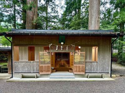 八坂神社,見どころ,を神