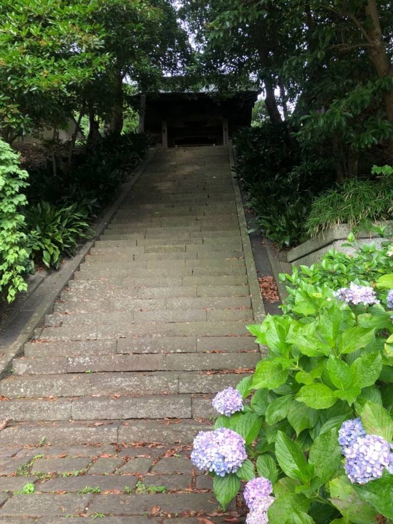 宝生寺 見どころ 横浜市/神奈川県 Omairi(おまいり)
