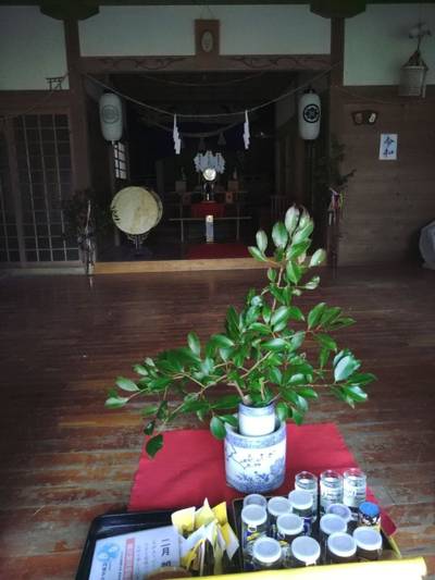 上伊福形神社,見どころ,メカぽん