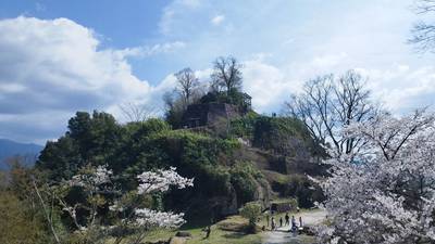 岩村城跡,見どころ,チャーハン好き