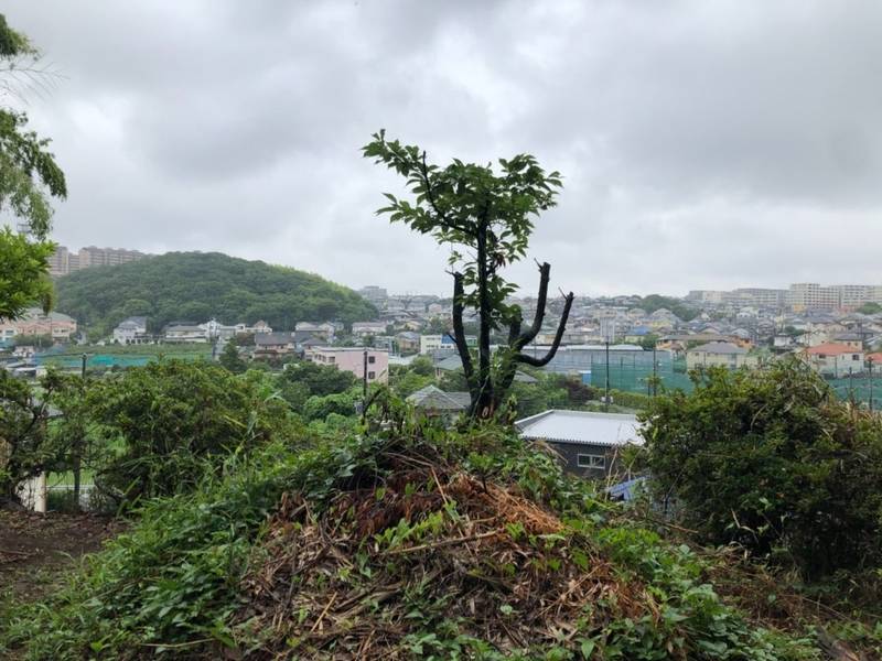 矢羽根不動尊,神奈川県横浜市都筑区荏田東町4256