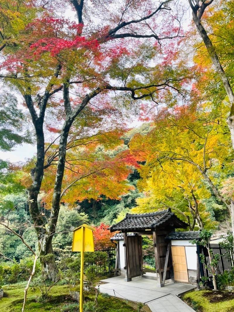 清閑寺,京都府京都市東山区清閑寺歌ノ中山町3