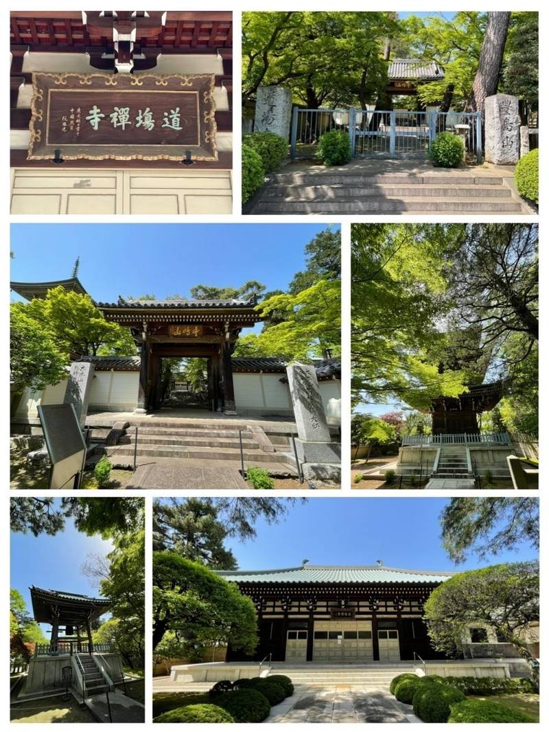 道場寺,東京都練馬区石神井台１－１６－７