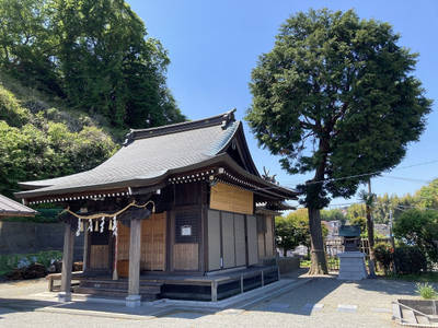 永田春日神社,見どころ,4万歩