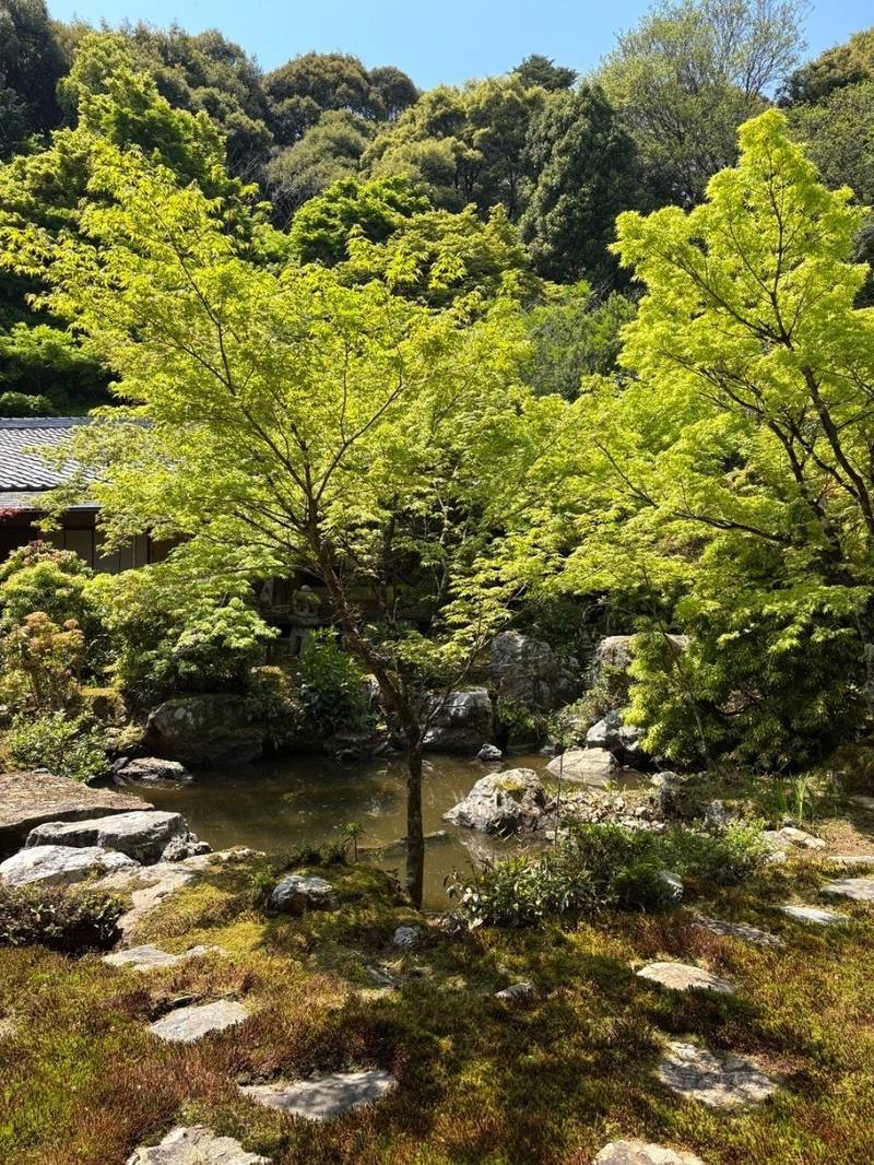 実相院,京都府京都市左京区岩倉上蔵町121
