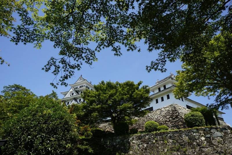 郡上八幡城,岐阜県郡上市八幡町柳町一の平659