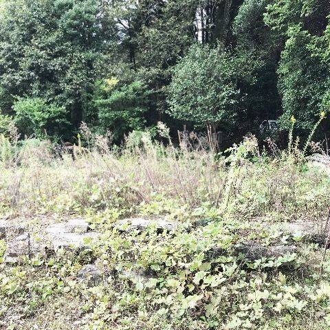 観現寺,岡山県真庭市上水田
