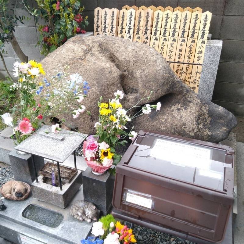 圓徳山 妙像寺,大阪府大阪市中央区谷町8丁目2-14