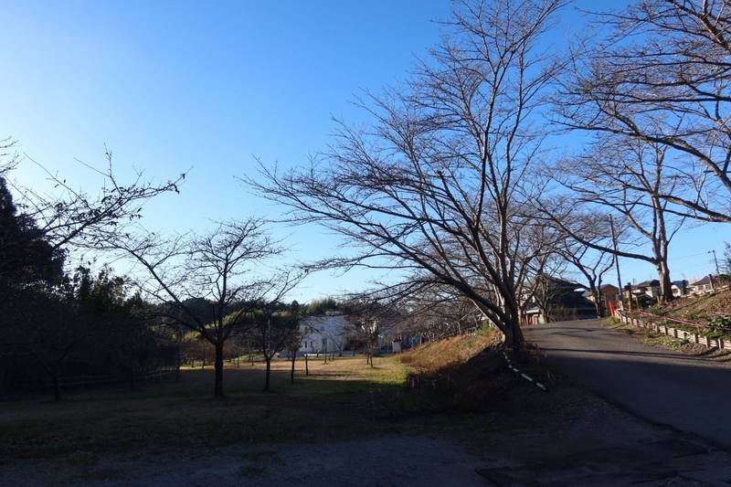 一宮城,千葉県長生郡一宮町一宮3404