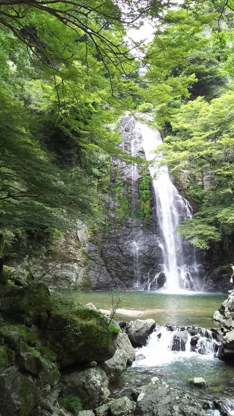 瀧安寺の御朱印