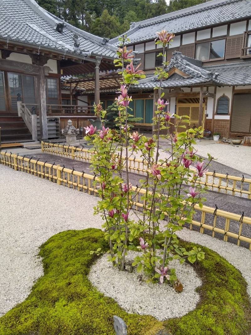大善寺,三重県伊賀市新堂494